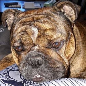 Meet your Posher, Scott